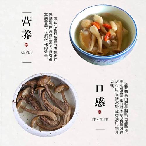 鹿茸菇怎么吃最营养 干的鹿茸菇怎么吃最好-第2张图片-其人生活百科