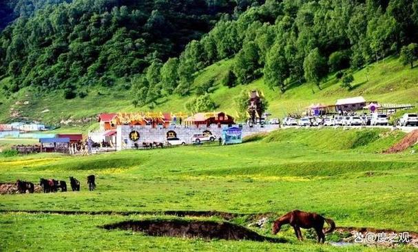 宝鸡关山牧场旅游攻略自驾游 从西安去宝鸡关山牧场旅游攻略-第1张图片-其人生活百科