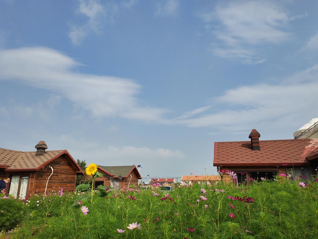 草原旅游去哪里好草原旅游胜地 草原旅游去哪里好 草原旅游胜地-第1张图片-其人生活百科