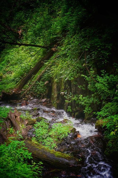 开车五常去凤凰山旅游攻略一日游最佳方案 黑龙江五常凤凰山旅游攻略三日游-第1张图片-其人生活百科