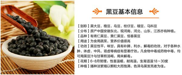 黑豆的营养成分表100g 黑豆的营养和功效-第2张图片-其人生活百科