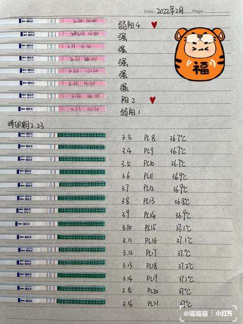 验孕试纸多久能测出来怀孕 试纸多久可以测出来怀孕没有-第2张图片-其人生活百科