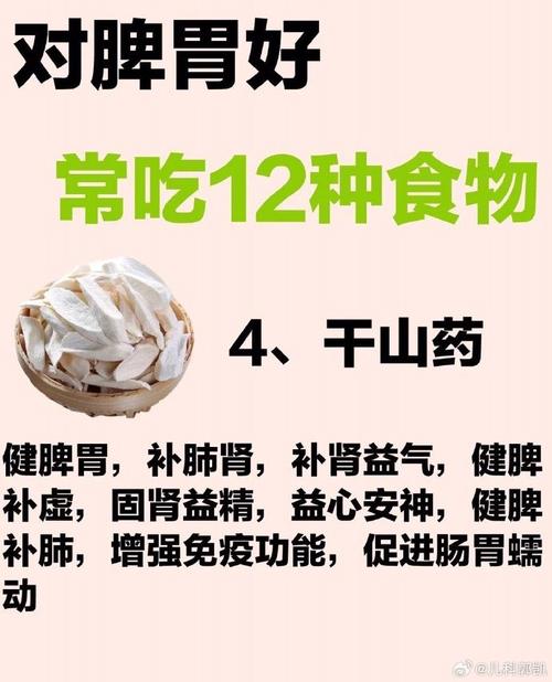 气虚要吃什么补气最好 气虚吃什么食物好-第1张图片-其人生活百科