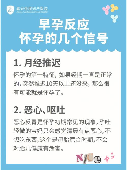 **刚刚怀孕的症状表现及体验**-第1张图片-其人生活百科