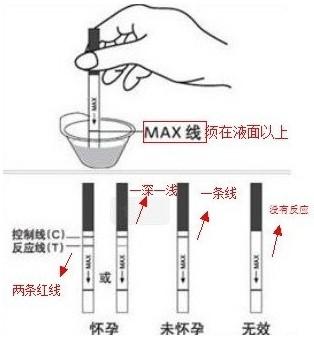 早孕试纸使用指南：步骤、注意事项及解读结果-第1张图片-其人生活百科