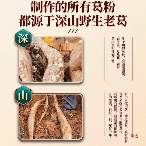 葛根的功效与作用：全面解析其健康益处-第2张图片-其人生活百科