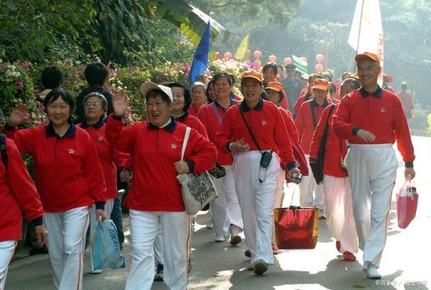 **寻找老年旅行团报名地点，开启精彩晚年生活之旅**-第2张图片-其人生活百科