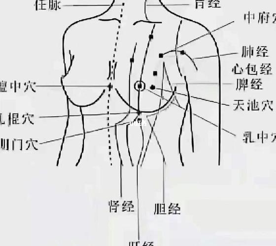 “胸部穴位：深入了解与运用”-第1张图片-其人生活百科