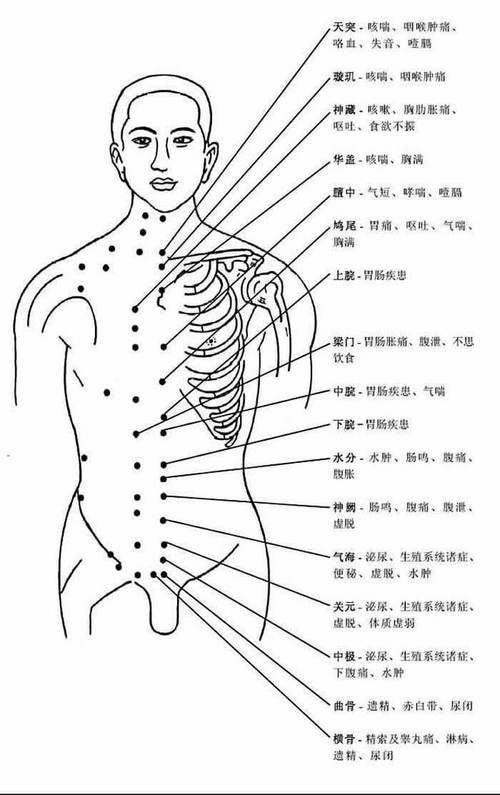 “胸部穴位：深入了解与运用”-第2张图片-其人生活百科