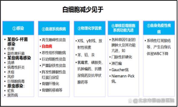 揭秘白细胞偏低的原因：深入了解身体免疫系统的微妙变化-第2张图片-其人生活百科