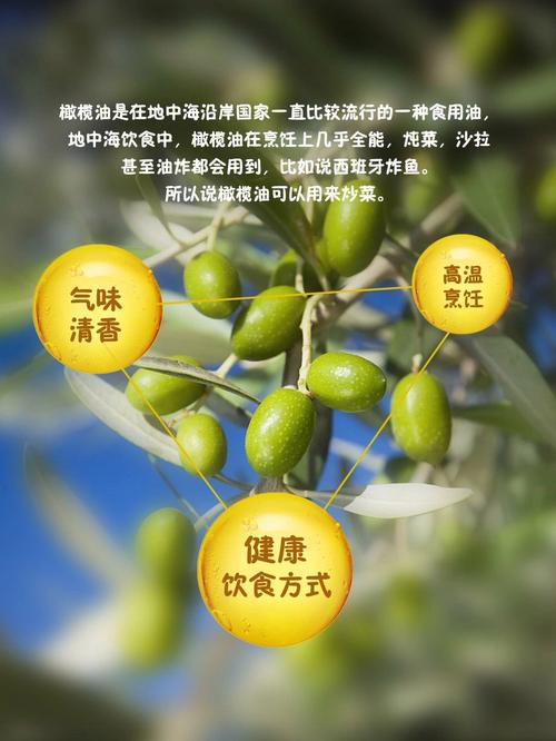 橄榄油食用方法与多种用途解析-第1张图片-其人生活百科