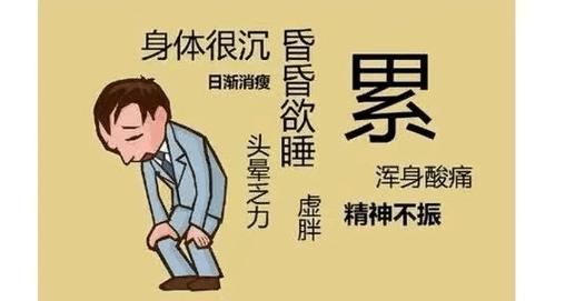 深入了解气虚质：体质特征、成因及调理方法-第1张图片-其人生活百科