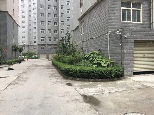 南通瑞园小区：解读一座现代化居住社区的多维面貌-第2张图片-其人生活百科