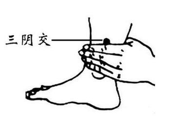 探寻三阴交：人体重要穴位的位置与功效-第1张图片-其人生活百科