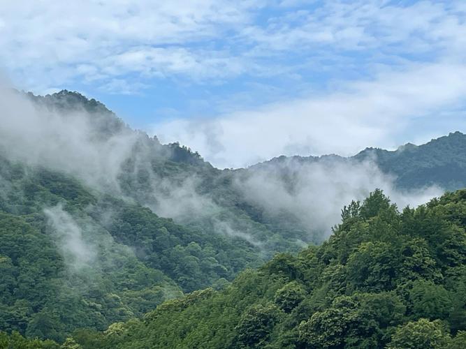 佛坪县天气预报及天气分析-第1张图片-其人生活百科