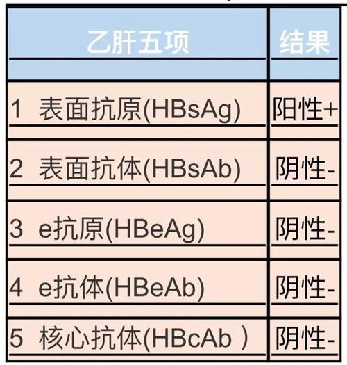 “深入了解乙肝五项对照表：从核心指标到健康护航”-第1张图片-其人生活百科