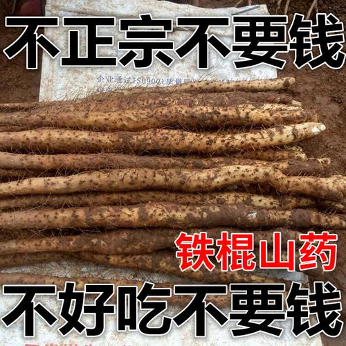 铁棍山药的多种吃法，让你吃得更健康-第2张图片-其人生活百科