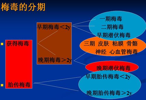 霉毒的传播途径及其防治-第1张图片-其人生活百科