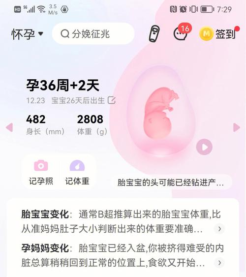 【预产期自测指南：简单预测宝宝来临的日子】-第1张图片-其人生活百科