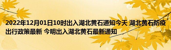 现在出入湖北十堰最新规定 出入湖北最新规定通知-第1张图片-其人生活百科