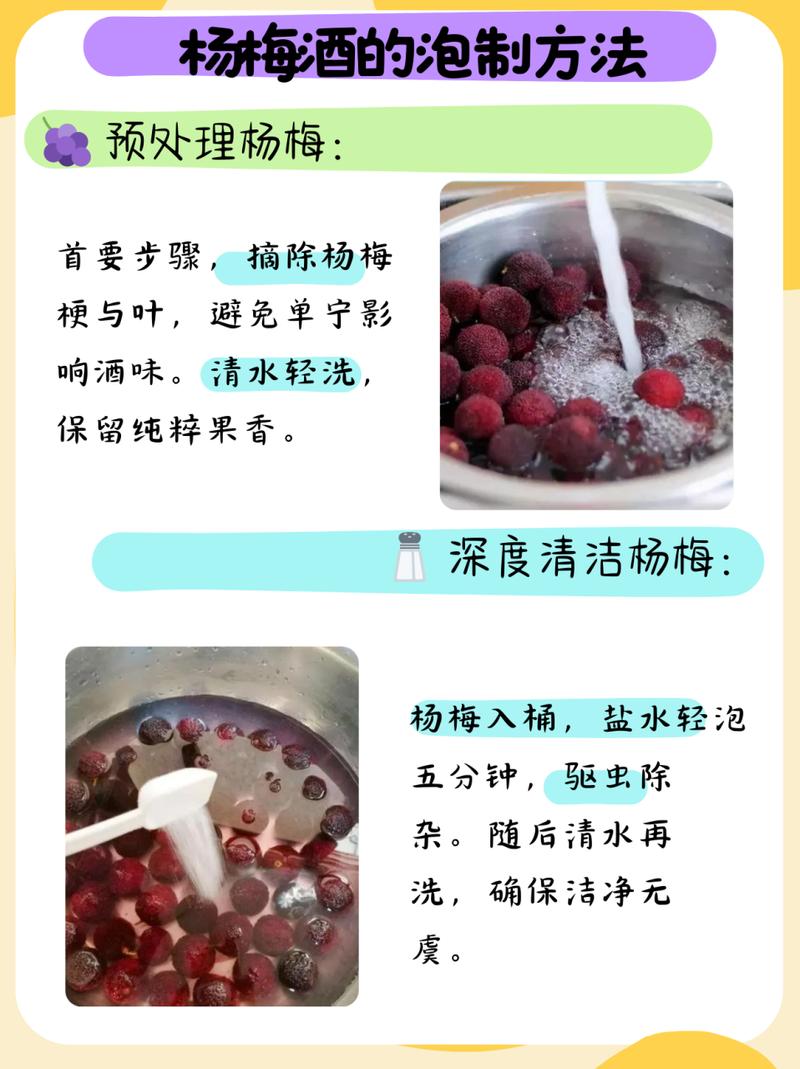 杨梅酒的制作方法一斤杨梅多少酒 葡萄酒制作方法及步骤和发酵过程-第1张图片-其人生活百科