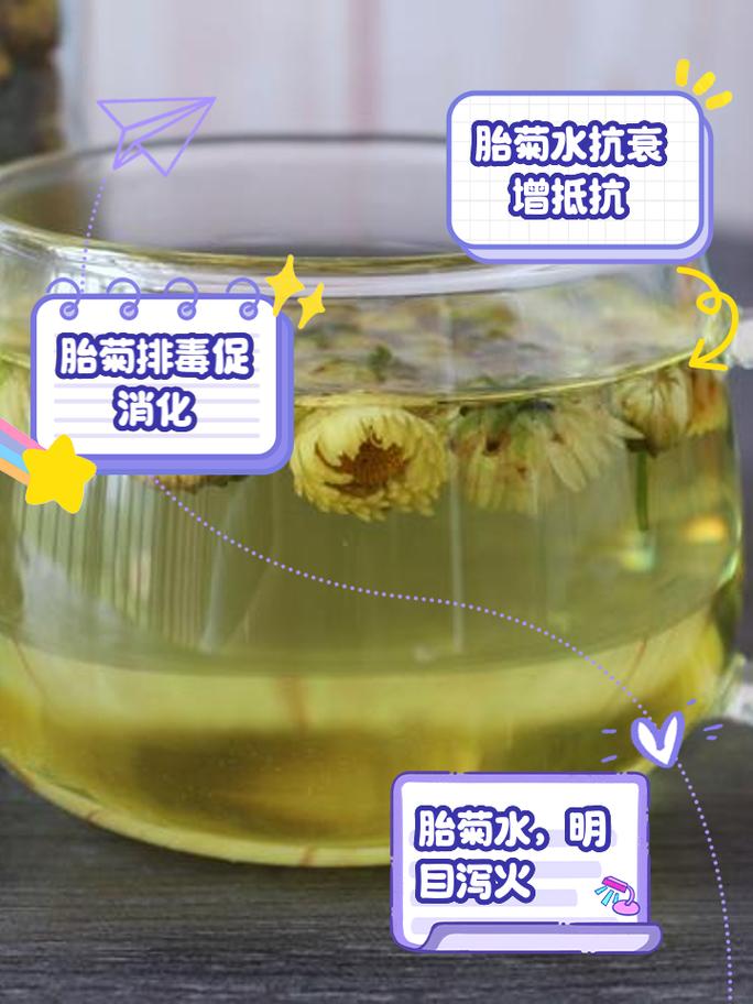 胎菊泡水喝竟有6个害处 雪胎菊泡水喝的正确方法-第1张图片-其人生活百科