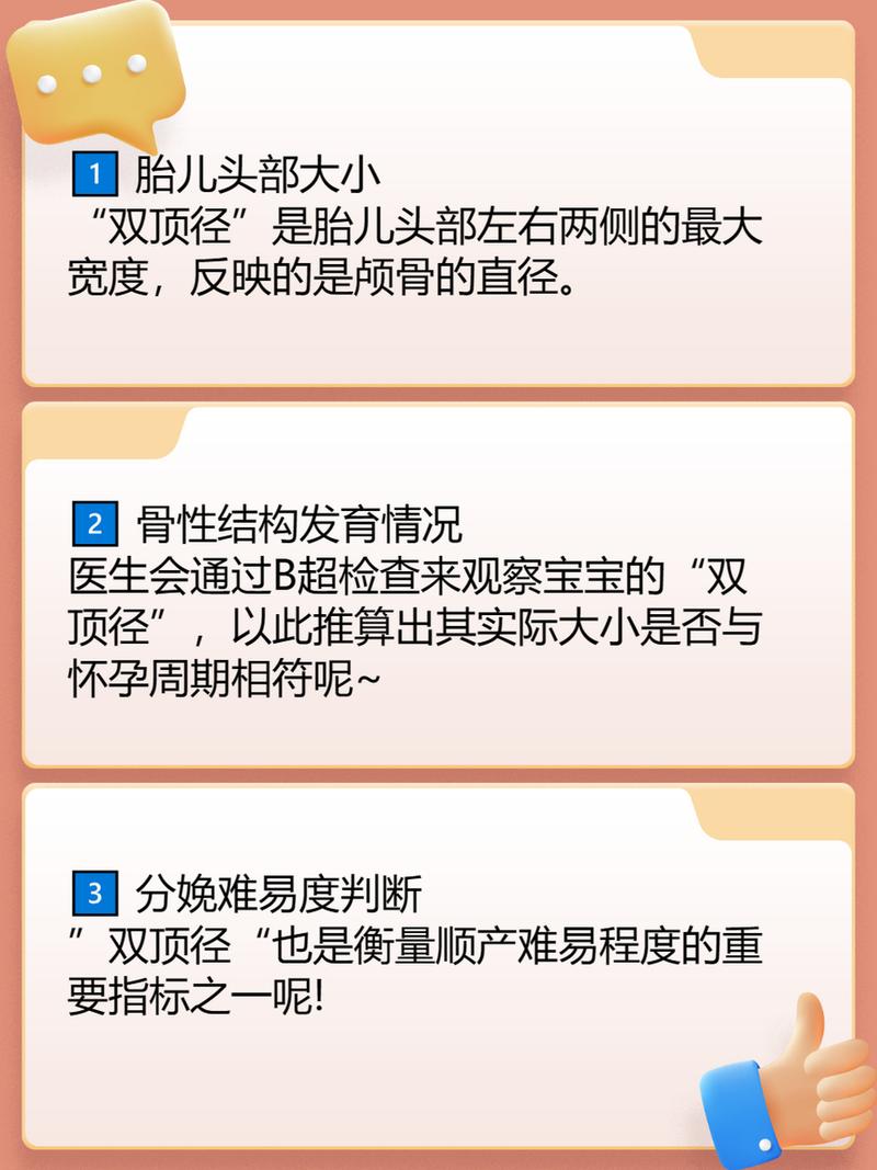 双顶径是什么部位图片 双顶径偏小会有什么后果-第1张图片-其人生活百科