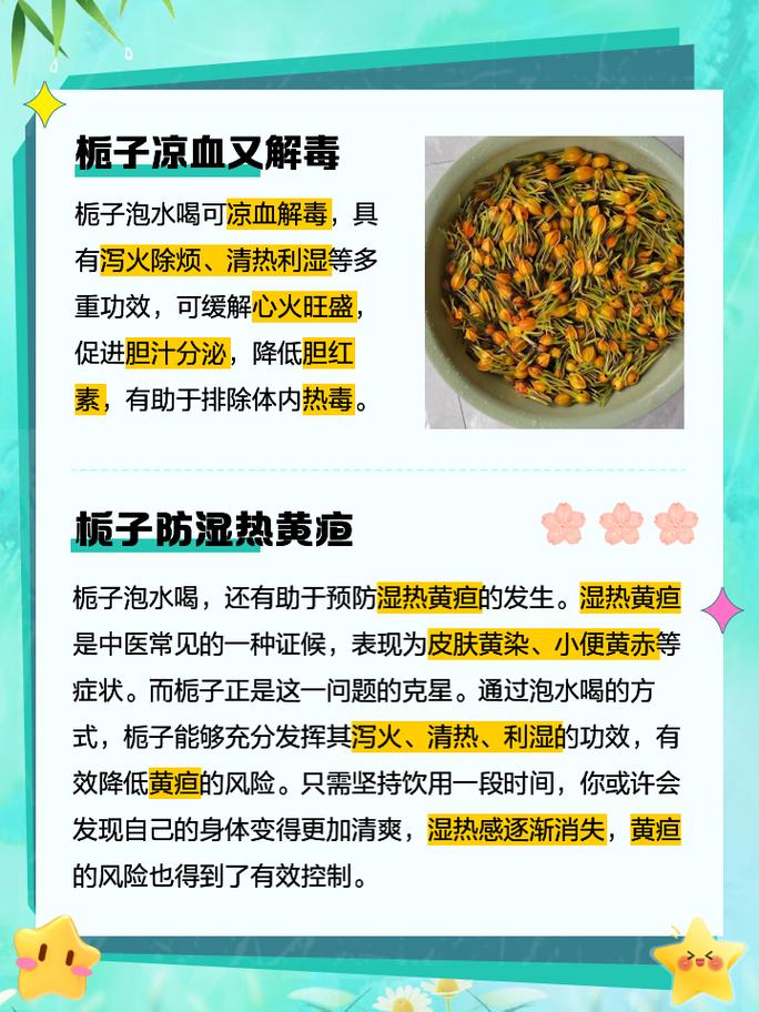 栀子泡水喝的正确方法 栀子泡水喝的最佳配伍-第1张图片-其人生活百科