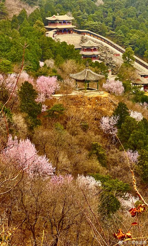 北京香山红叶几月份去最好 北京香山攻略自由行-第1张图片-其人生活百科