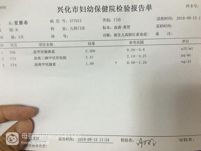 游离甲状腺素高是甲亢吗 游离甲状腺素高需要治疗吗-第1张图片-其人生活百科