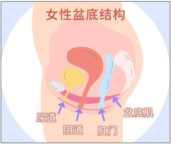 下面松弛怎么办恢复 子宫松弛怎么才能变紧致-第1张图片-其人生活百科