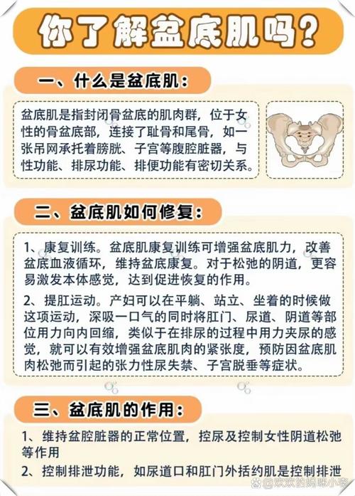 怎么修复盆底肌最快方法 治疗盆底肌最佳方法-第1张图片-其人生活百科