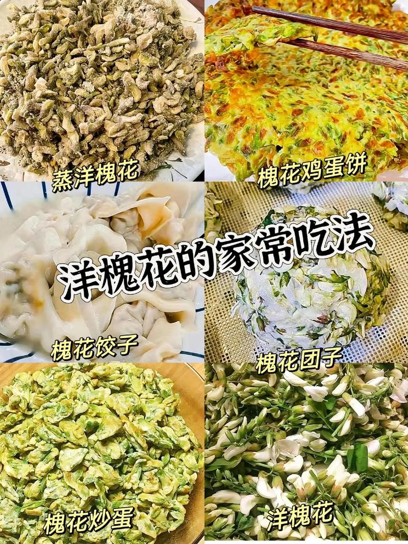 冷冻洋槐花的吃法大全 槐花能吃吗怎么吃法-第1张图片-其人生活百科