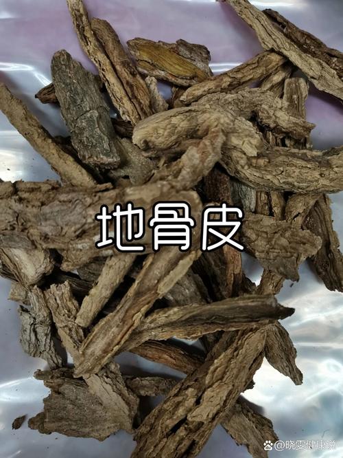 中药材地骨皮的作用和功效 中药地骨皮的功效与主治-第1张图片-其人生活百科