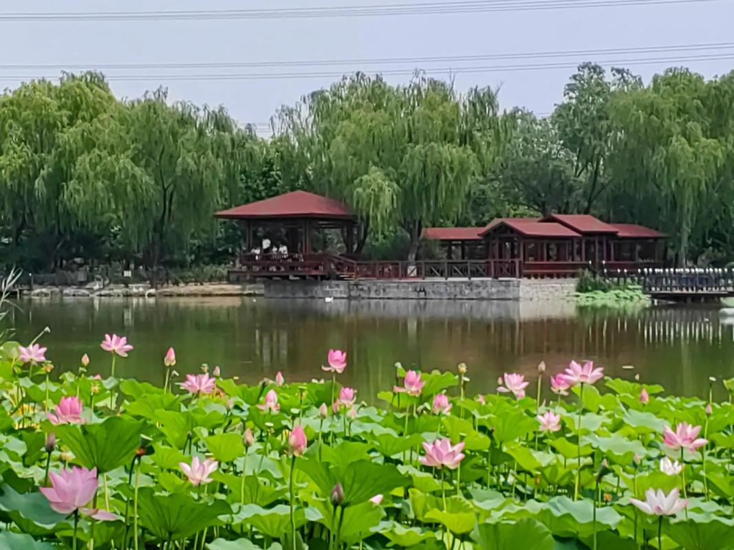 北京晚上有什么好玩的地方 朝阳区有哪些好玩的地方-第1张图片-其人生活百科